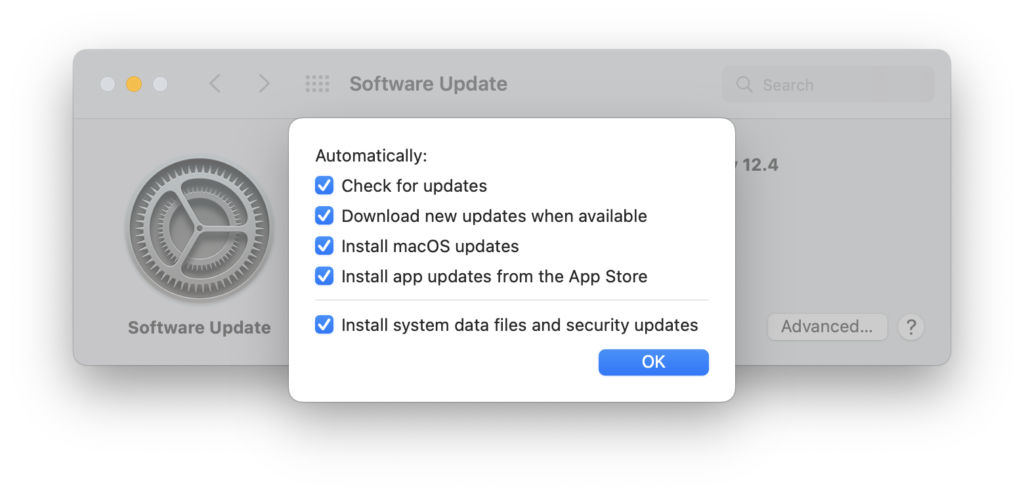 Screenshot of macOS System Preferences > Software Update > Advanced with automatic updates enabled